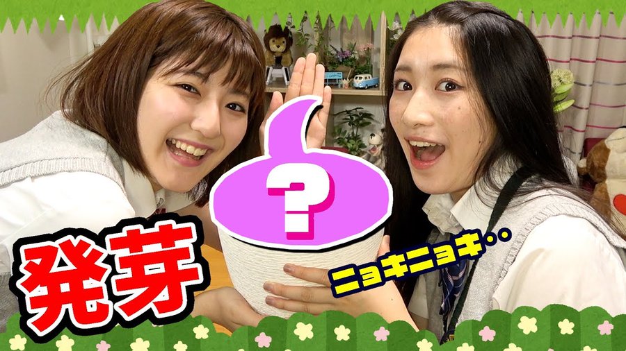 キッズボンボン なるといっちーがかわいい 名前や経歴と収入など 進化への道