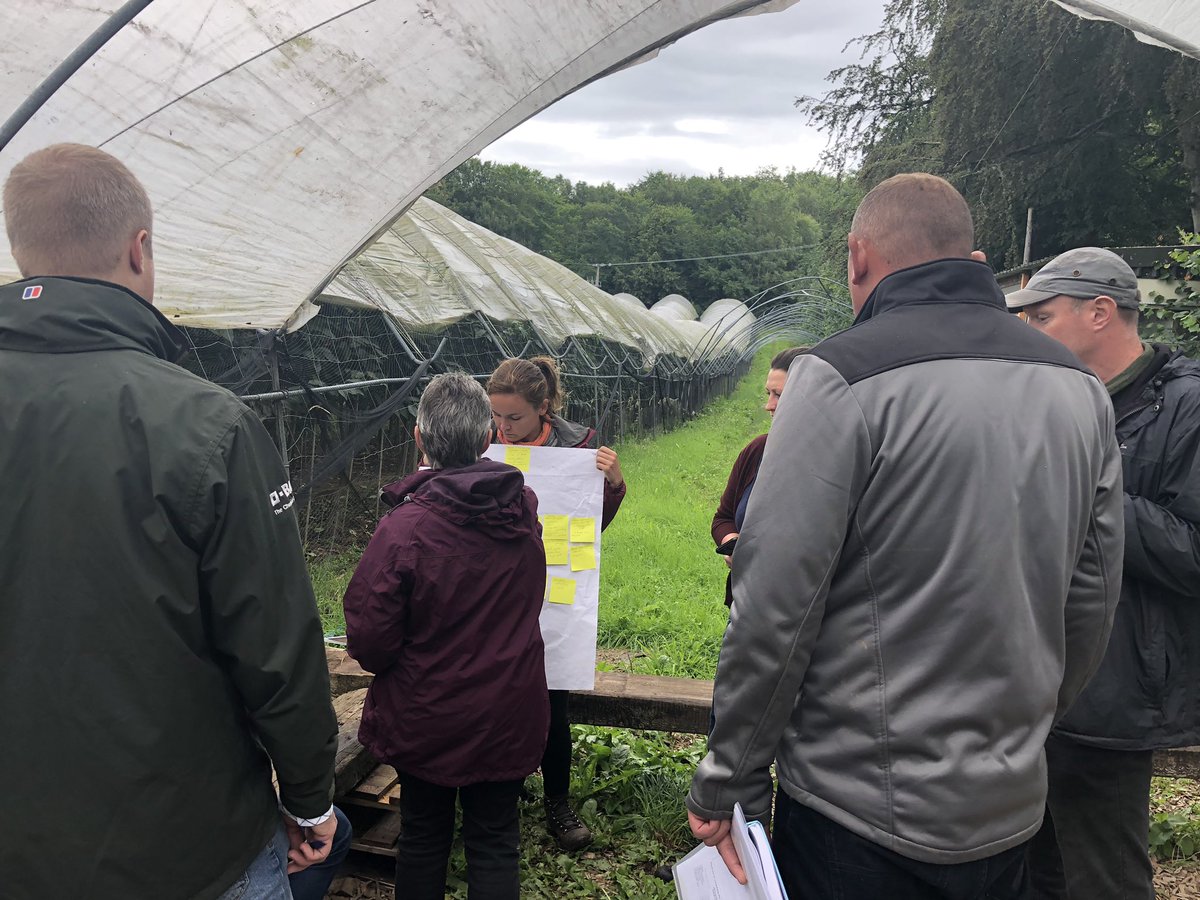 emeny_grace's tweet photo. A bit of rain isn’t going to stop us doing our process mapping out in the field this morning ☔️ #lean #labourefficiency #SmartHort @AHDB_Hort @ltd_usp #cherries #Scotland https://t.co/52LhyywwlW