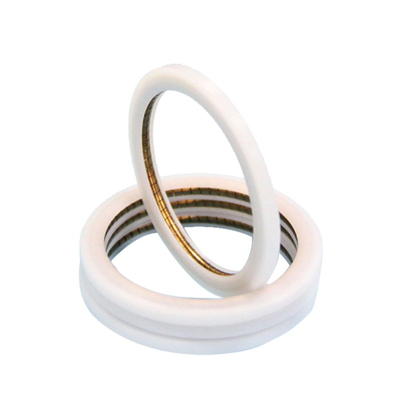 ShirmeyHui's tweet image. Share your spring seal ideas and drawings with Guangdong DSH Seals Technology Co., Ltd, we will help to achieve it. dshseals.com/ptd-external-f… #springseal #ptfeseal