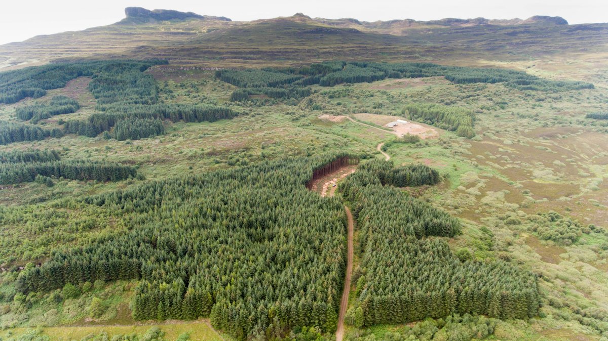 isleofeigg's tweet photo. Harvesting project going really well - picture of the forestry coupe we are taking the wood from &amp; the start of our log stacks being built on Eigg pier ready to be taken off by boat later this month #EiggTimber @forestsandwood https://t.co/L4n0N5ezPX
