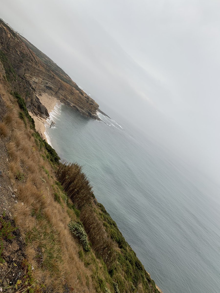 Lexi75Lou's tweet photo. So refreshing to run in the rain this morning. 3rd run of the holiday and added another mile to finish on 5. 12 miles so far #sweatinggin #slippycobbles #ericeira @ogmorephoenix https://t.co/IOBtW9AuFW