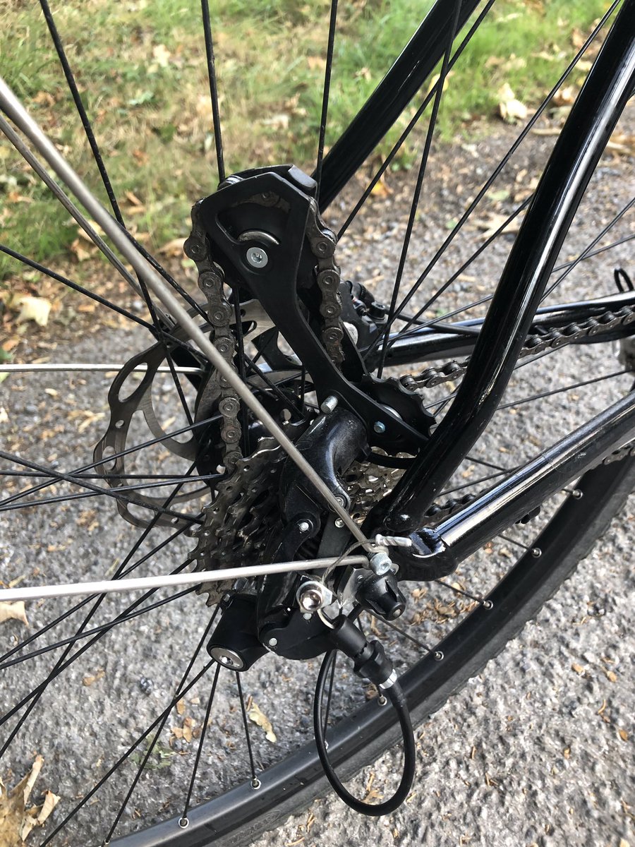 ASK-Physio tweet media