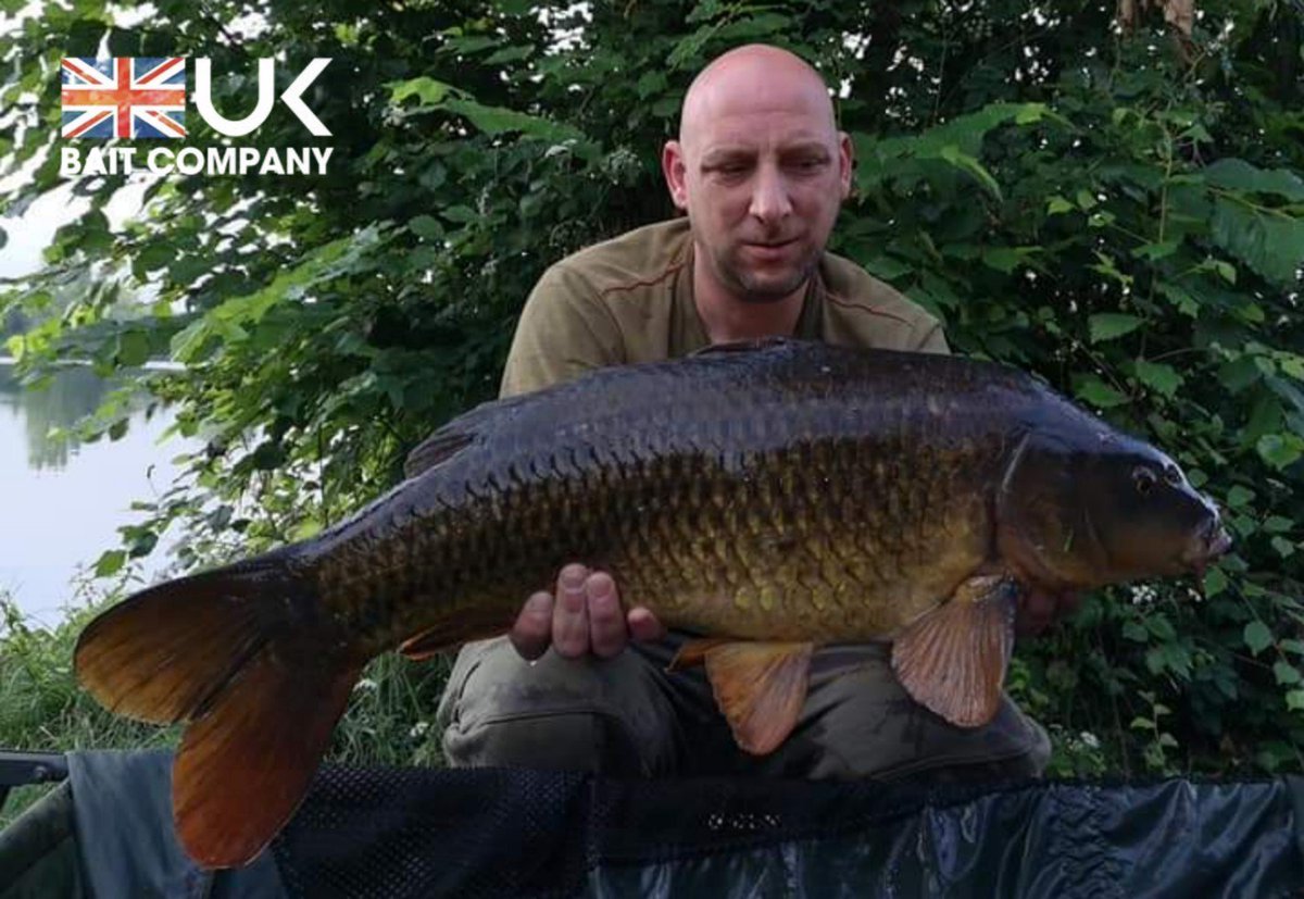 UKBaitCompany's tweet photo. Team member Terry Varley had this lovely dark common on a recent trip. The superb FIX8 doing the business for Terry ๐ฃ๐ฃ #UKBAITCOMPANY #FIX8 #PRONUT #PROEVO #PROFRUIT #VIPPARTICLE #WHENQUALITYMATTERS https://t.co/z5psLGeEwU