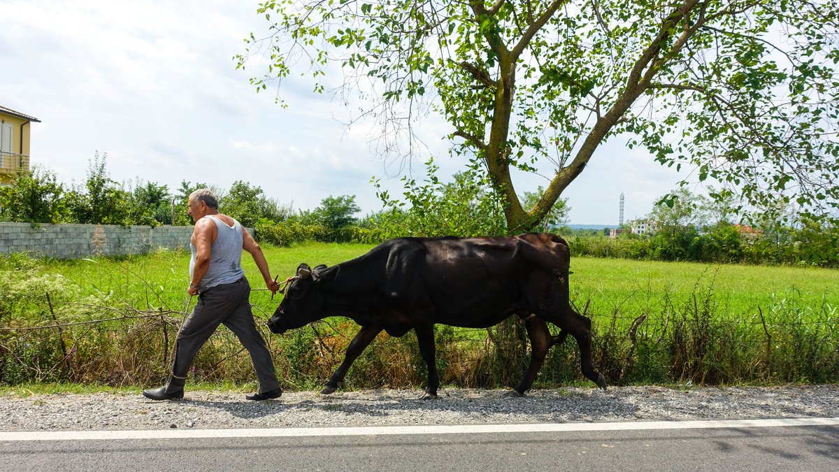 TempResidents's tweet image. Aaaand we’re off . . Road trip 🚗💨 to Montenegro and Croatia! 😎 #roadtrip #Croatia #Montenegro
