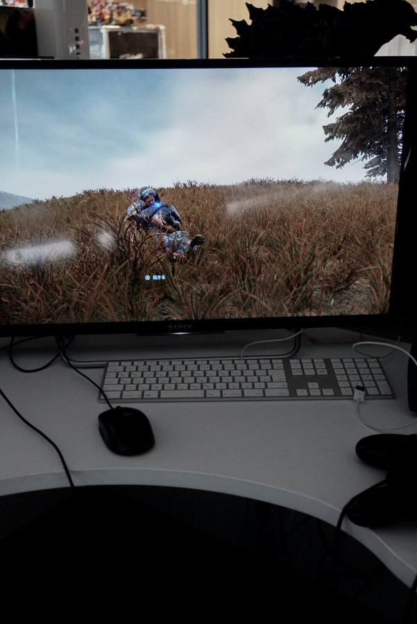 View image on Twitter