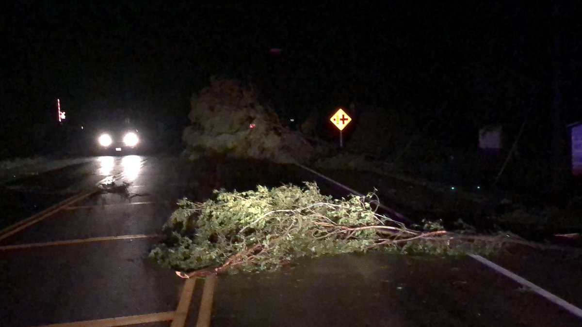 Trees and power lines blocking Hwy 30 in Alda