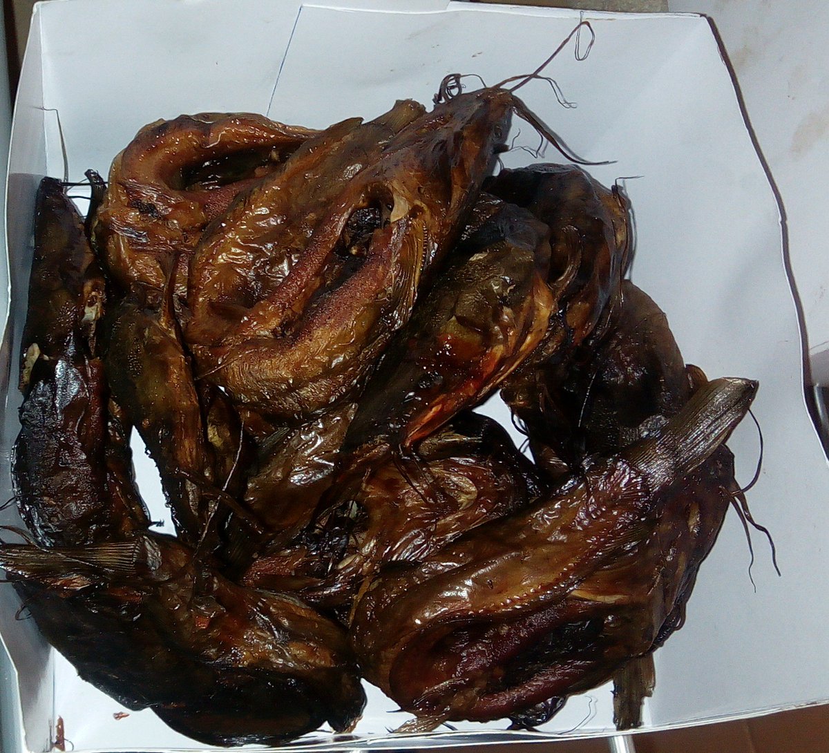 Funmbi14's tweet photo. I sell hygienically oven dried catfish at @ThreeFoldResou1. Please patronize me, retweet too; my customer may be on your timeline.

 See images below @h_abnrmal @Geektutor @NikeFolagbade @Soupamarket https://t.co/mR0mszFQHQ
