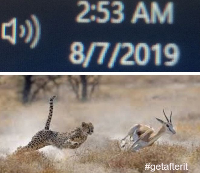 mpetrus19's tweet photo. @jockowillink It’s time…………..the speed at which one moves can be determined by their hunger…………..stay fast #stayhungy……..NOW………#getinmybelly………… #sprinting #DisciplineEqualsFreedom #speed #WednesdayMotivation #WednesdayMorning #fast #faster #fastest https://t.co/yRDMitfClJ
