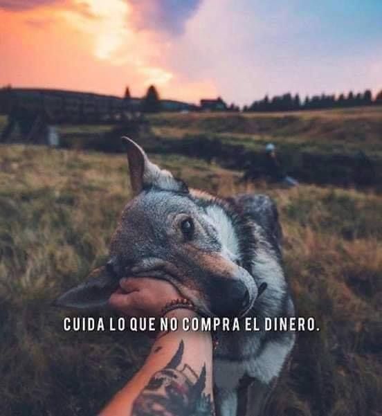 😘 😘 😘 
#mascotaplanet #tiendadeanimales #todoloquetumascotanecesita #perros #recuerdos #amorsincero #felizmiercoles