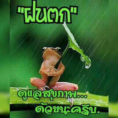 สวัสดียามค่ำๆครับ