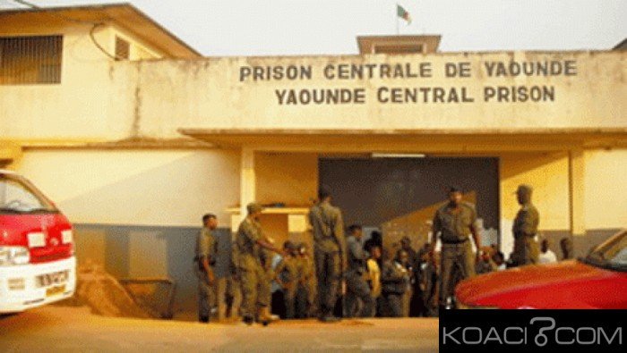 RED ALERT!⛔️ #SouthernCameroonian/#Ambazonian prisoners of war are allegedly being disappeared at the Kondenhui central prison #Yaounde by dictator <a href="/PR_Paul_BIYA/">President Paul BIYA</a>'s regime &amp; collaborators.The world must save them.<a href="/RepKarenBass/">Congressmember Bass</a> <a href="/USEmbYaounde/">U.S. Embassy Yaounde</a> <a href="/AsstSecStateAF/">Bureau of African Affairs</a> <a href="/hrw/">Human Rights Watch</a> <a href="/amnesty/">Amnesty International</a> <a href="/mbachelet/">Michelle Bachelet</a>