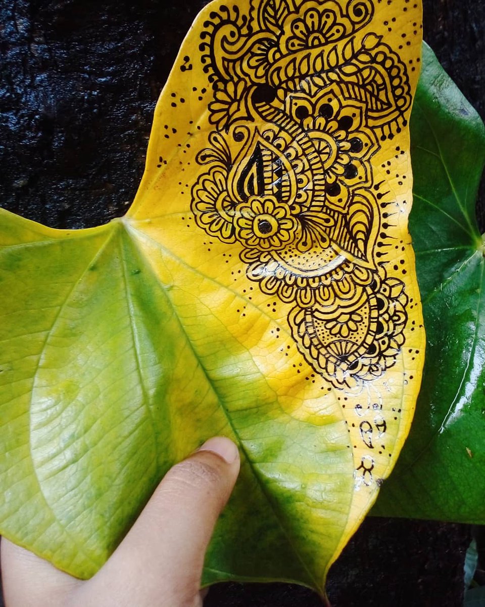 SabrinaaAfrinn's tweet photo. Floral doodle on a leaf 🍂 https://t.co/uHRPrrdhFP