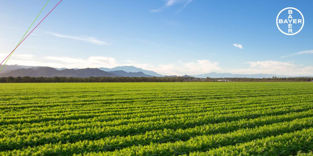 Bayer4CropsUS's tweet photo. Every major scientific body that has reviewed the safety of genetically modified foods has come to that same conclusion: #GMOs are safe for humans, animals and the environment. #FarmMeetsTable 

https://t.co/2nsBnatVYs https://t.co/2qoKeMNAI8