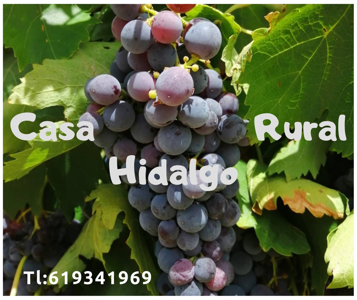HidalgoRural's tweet photo. CASA RURAL HIDALGO 

☎️ 619 341 969 - 926 778 042
📌 Calle Sacramento Hidalgo Nº 2 Corral De Calatrava.
.
.
.
.
.
#casaruralhidalgo #hidalgo #corraldecalatrava #turismorural #fuego #parrilla #turismo #castillalamancha #lamancha #casarural #casarurmonte #casaruralconencanto https://t.co/yDA0BOVcil