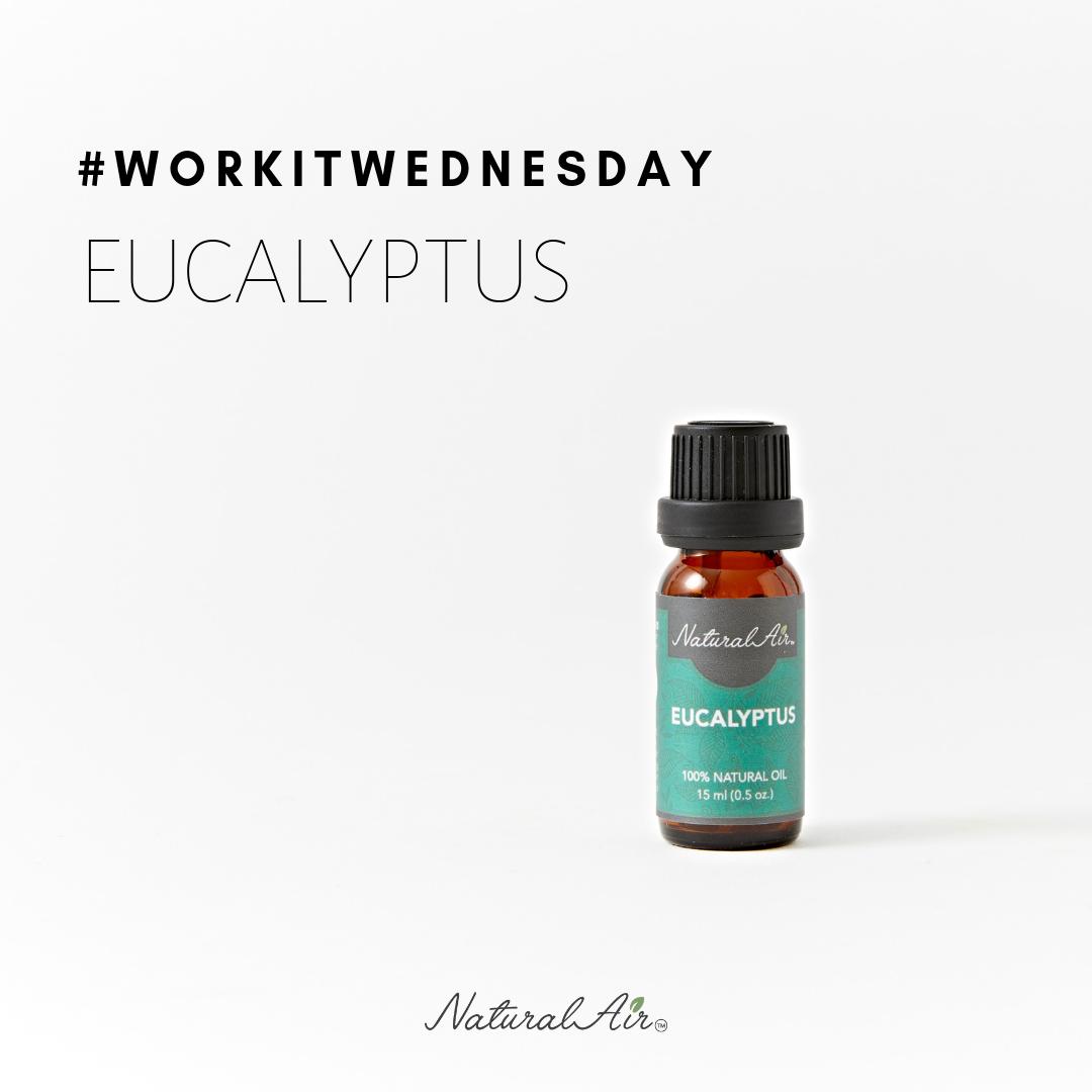 naturalairoils's tweet photo. It's #WorkItWednesday and today we're diffusing our signature #Eucalyptus blend. What are you diffusing today?
.
.
.
.
.
.
.
.
.
.
#Naturalairoils #essentialoils #oilylife #oilyfam #fresh #greeen #organic #diffuser #diffuserblends #natural #allnatural #health https://t.co/Uv5cSFQ5nS