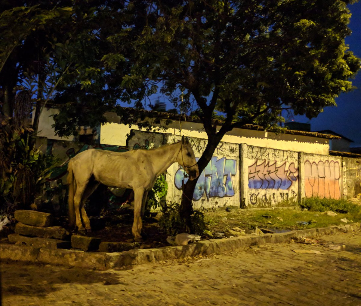 Back in the community, it's a peaceful night. A horse munches quietly as residents politely wait their turn on a narrow bridge over a filthy river. This place was violent, unsafe, and isolated; now it's bustling, orderly. Why did it take a prison gang to bring about change? END