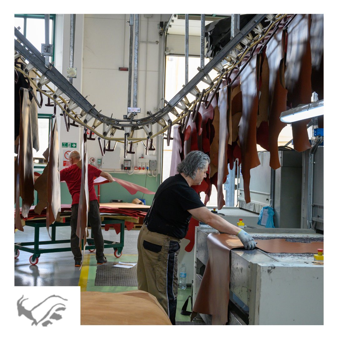 NutiIvoGroup's tweet photo. With hard work and effort, you can achieve anything.
~Antoine Griezmann~

#nutiivogroup #nutiivo #leather #leatherwork #conceria #tannery #leathertrends #madeinitaly #chrome #veg #metalfree  #leatherartisan https://t.co/zPGt8Thv6Y
