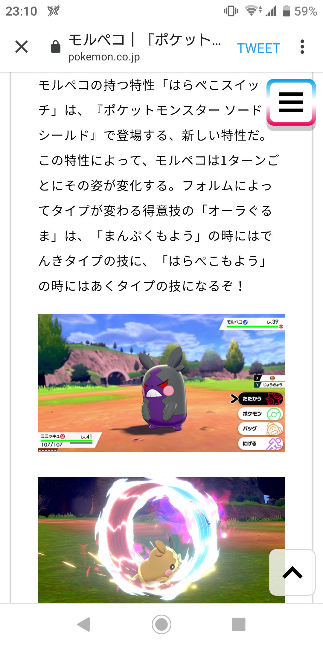 トーテムポール Socreamda マッスグマの進化系の方ね モルペコはだいぶトリッキーだな T Co Kjjzrfba6f Twitter
