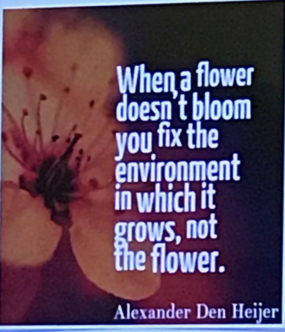 Restorative Practices #connectb4content #ittakesavillagecentrales