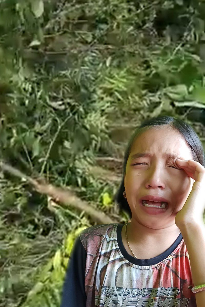 She cry for felling down of 2 trees which she planted when she was only in class 1.We rushed at her place and tried to console her providing more saplings. Now She will be the State government,s “Green Ambassador”for C M,s Green Manipur Mission “ let’s follow her, save nature
