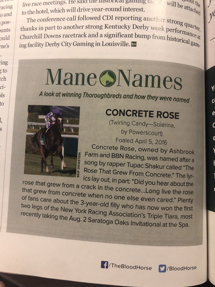 DanonymousMan's tweet photo. Thank you @BloodHorse for publishing this incredible nugget about Concrete Rose and to @AlexaRavit for sharing with me. #ConcreteRose #TurfTiara 

Listen: https://t.co/dGNGxdW8n6 https://t.co/ra4ITKfimn