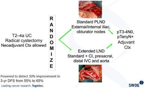 EUPatient tweet media