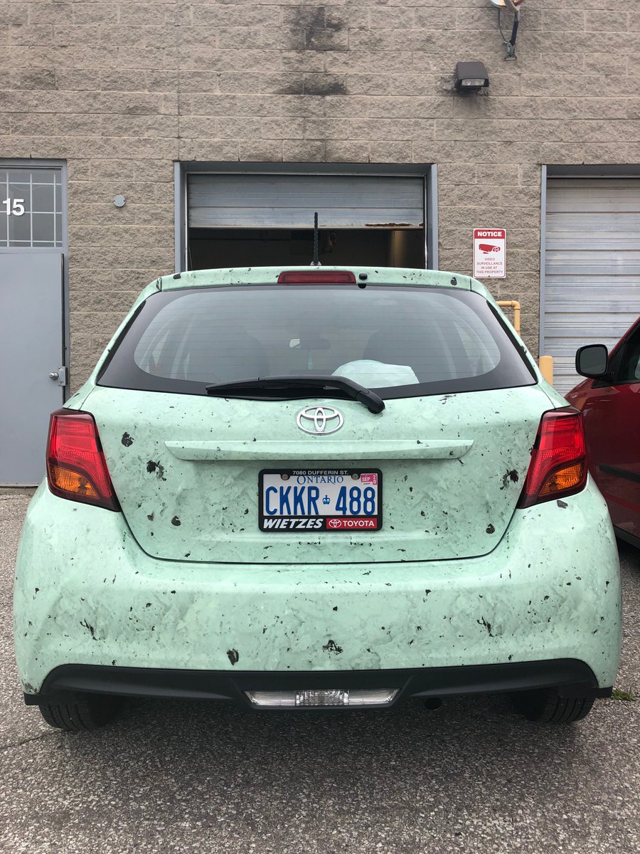 EyebeamDesign's tweet photo. This wrap puts the chill on the summer heat! A fun project, and great install by @signaramapickering. #vehiclewraps #wrapcreative #design https://t.co/hZQb76yXbi