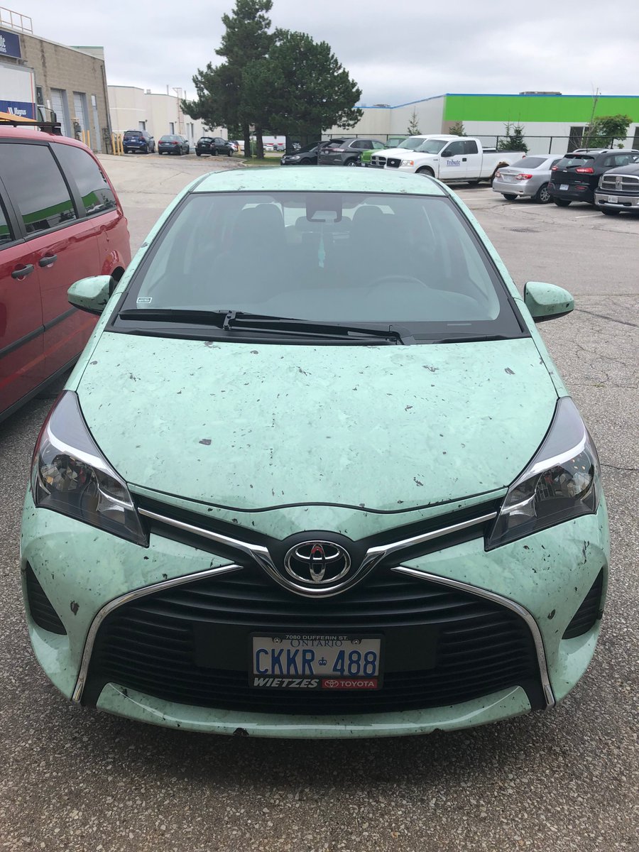 EyebeamDesign's tweet photo. This wrap puts the chill on the summer heat! A fun project, and great install by @signaramapickering. #vehiclewraps #wrapcreative #design https://t.co/hZQb76yXbi