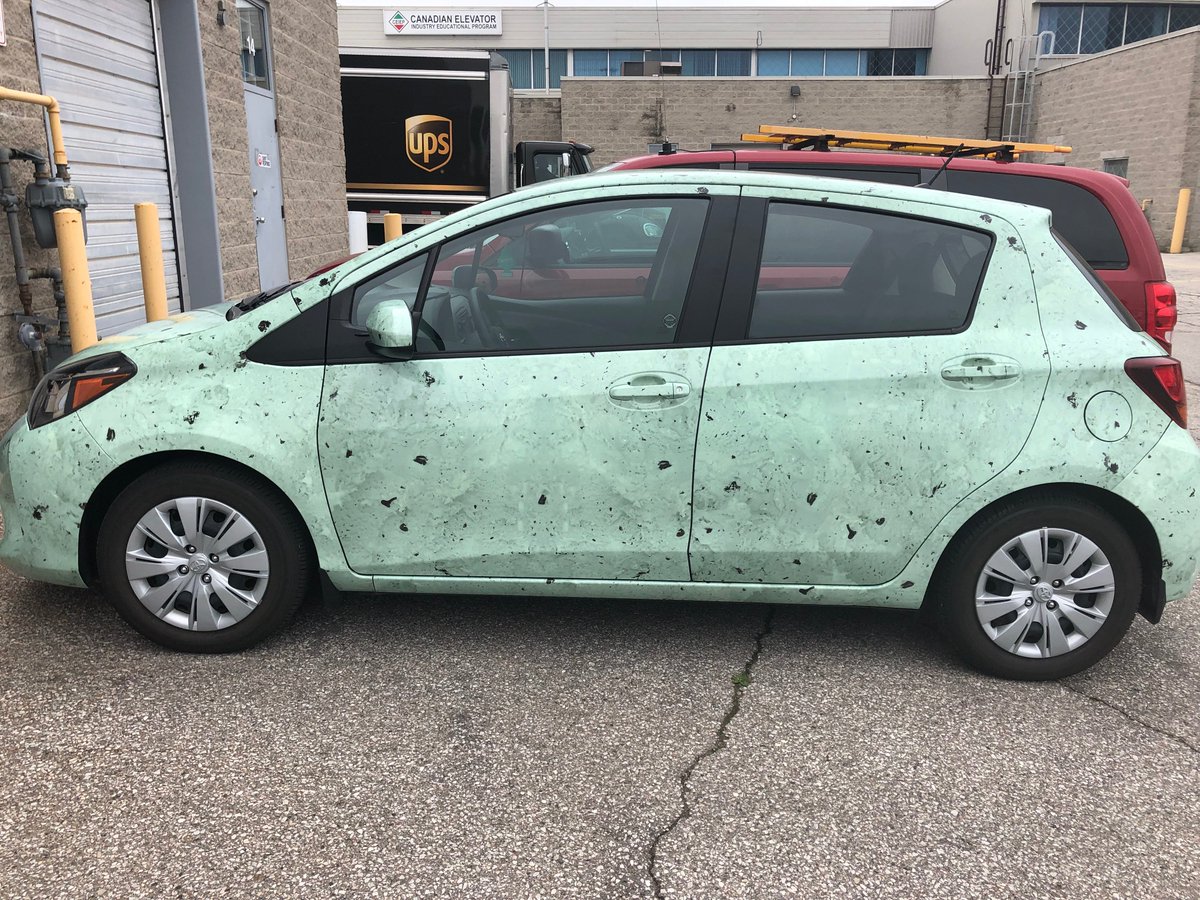 EyebeamDesign's tweet photo. This wrap puts the chill on the summer heat! A fun project, and great install by @signaramapickering. #vehiclewraps #wrapcreative #design https://t.co/hZQb76yXbi