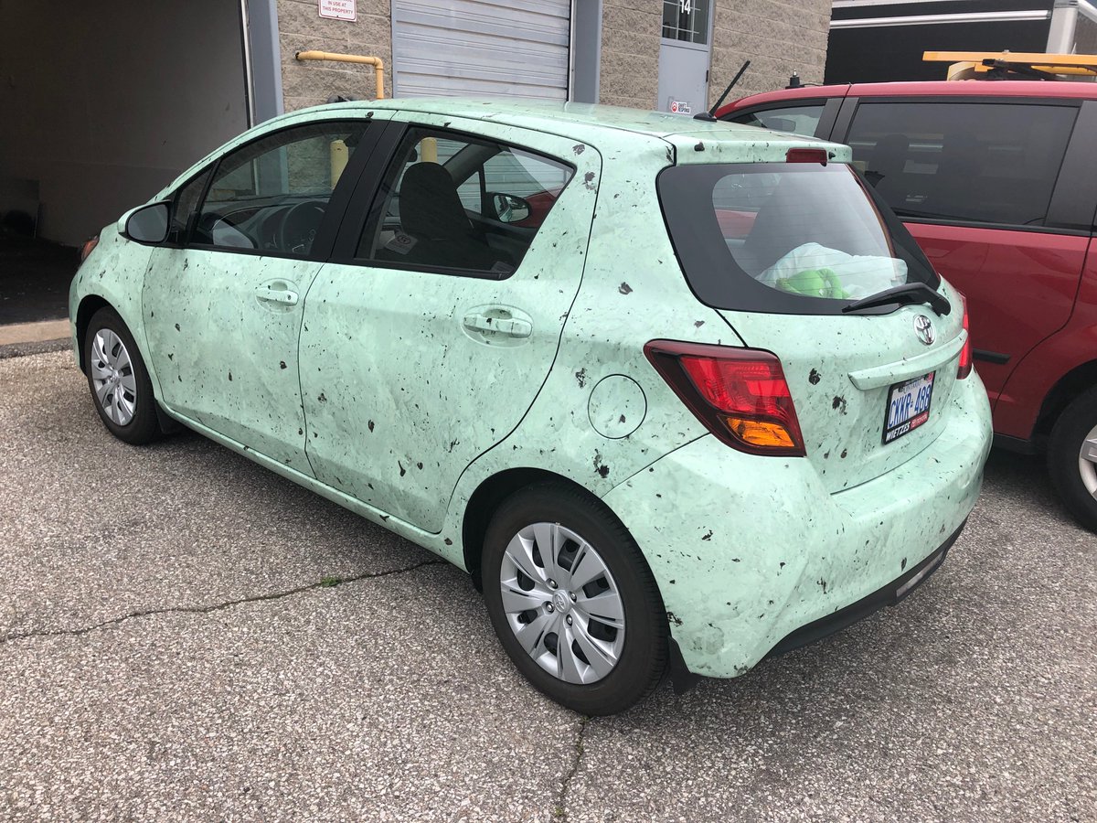 EyebeamDesign's tweet photo. This wrap puts the chill on the summer heat! A fun project, and great install by @signaramapickering. #vehiclewraps #wrapcreative #design https://t.co/hZQb76yXbi