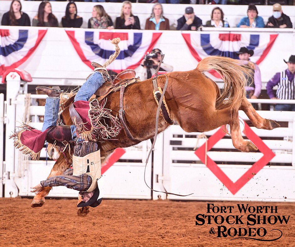 fwssr's tweet photo. You donβt learn much when everything goes right. #WednesdayWisdom #westernwisdom https://t.co/Gmajm45CM5