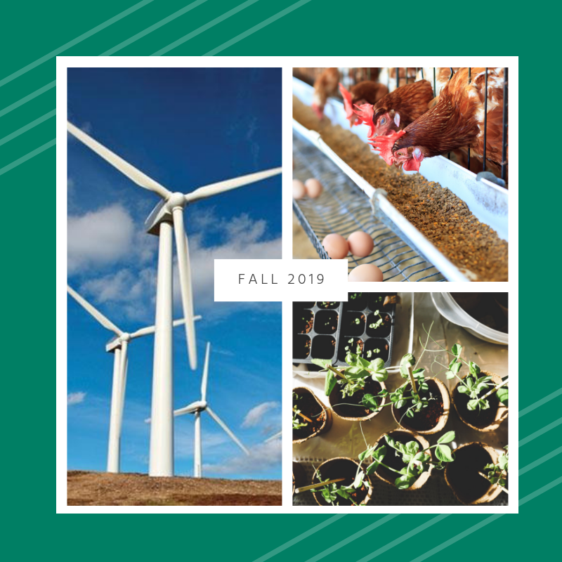 WSCCMichigan's tweet photo. Inspired by the abundant agricultural resources in the community, West Shore Community College, in partnership with the Mason County Conservation District, is hosting a series of classes and workshops focused on energy, environment, and water. More info at https://t.co/S1iiZlU14f https://t.co/vZd1sVbVcD
