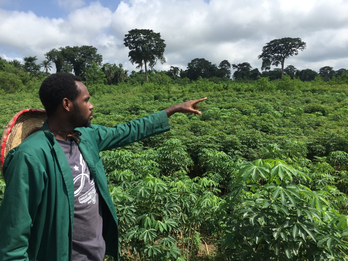 EletaValentine's tweet photo. Fun Fact: Nigeria is the largest producer of cassava, in the world. Our production for year 2017 alone was over 55million metric tons!
Cool right?😎😎 https://t.co/SMEScFw1Jr