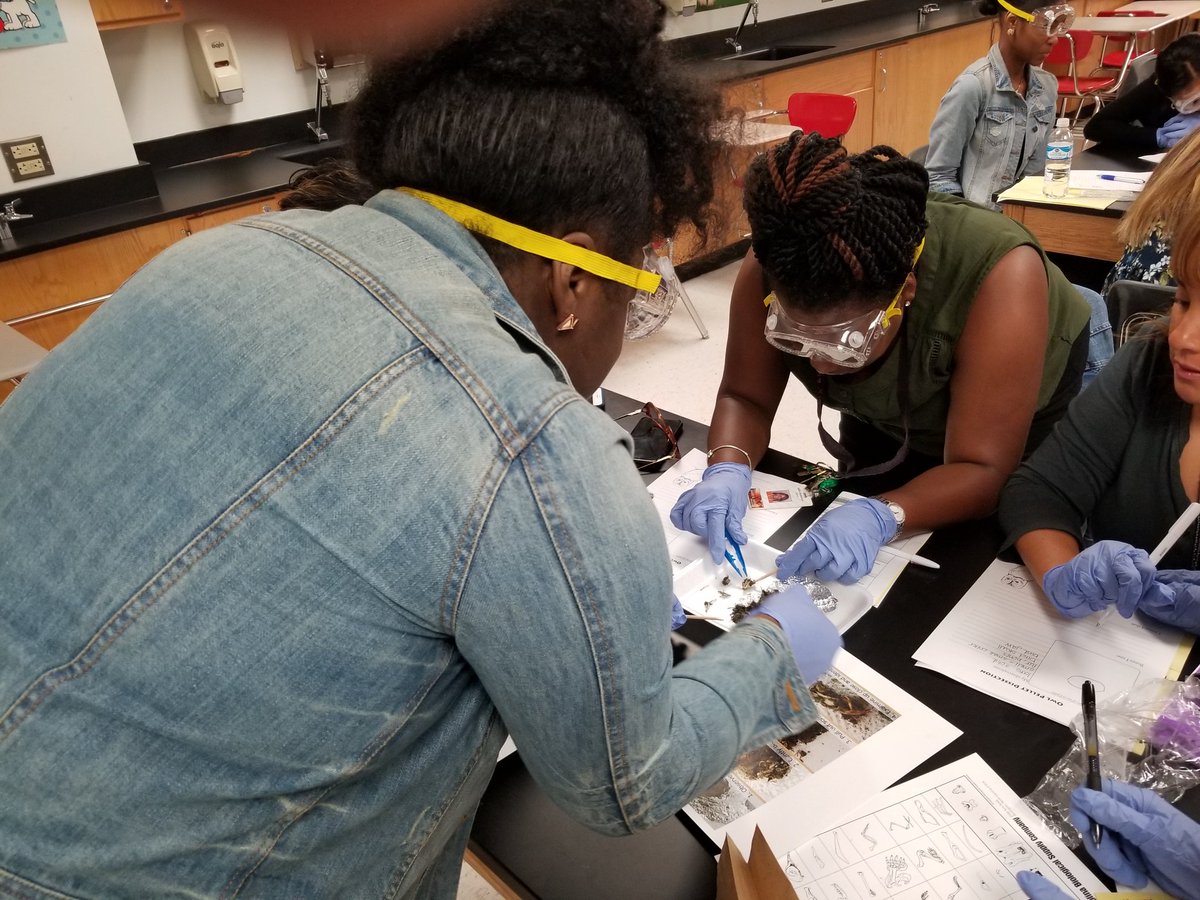 major_math3d's tweet photo. Teacher experiencing the excitement of investigating during a 4th grade Science PD. @GalenaParkISD #gppd2019 https://t.co/gvVuJ2GHJt