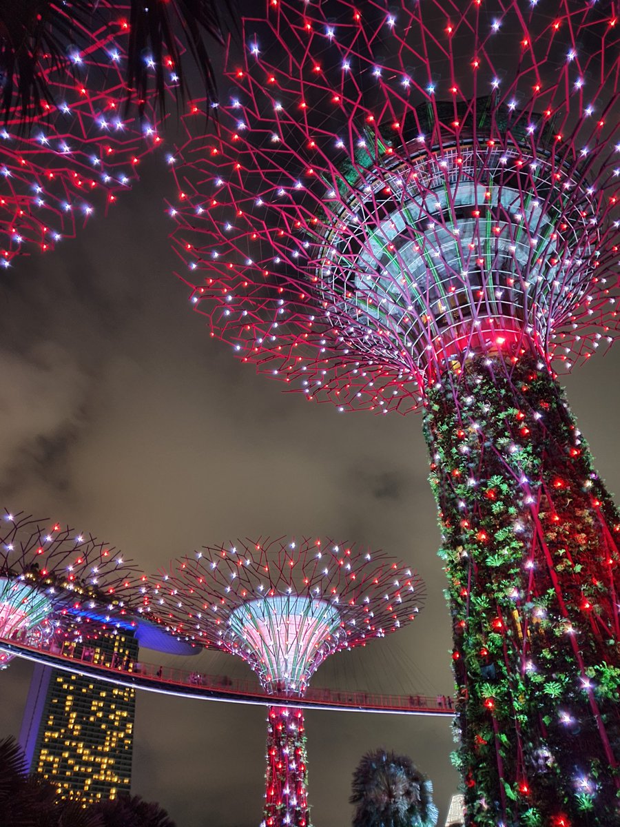 BackstreetNomad's tweet photo. Garden Rhapsody, the light show at Supertree Grove is always a highlight of a visit to Gardens by the Bay. Don't @VisitSingapore without seeing it. #squadsq #flysq #visitsingapore @singaporeair https://t.co/WvVPQh62u2