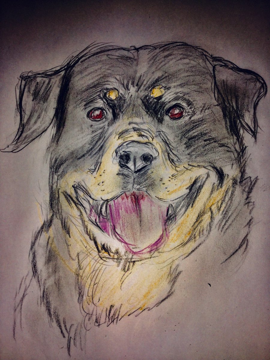 Judas على تويتر 11犬種め 残り332種 手描き イラスト 色鉛筆 色鉛筆画 動物画 犬の絵 鉛筆画 ロットワイラー Judas على تويتر 11犬種め 残り332種 手描き イラスト 色鉛筆 色鉛筆画 動物画 犬の絵 鉛筆画 ロットワイラー
