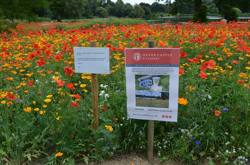 LAPUMagazine's tweet photo. Hever Castle sell ready-made Euroflor packs from @rigbytaylor after positive response from visitors https://t.co/feB9FEYzPy https://t.co/bc0Y33AKuC
