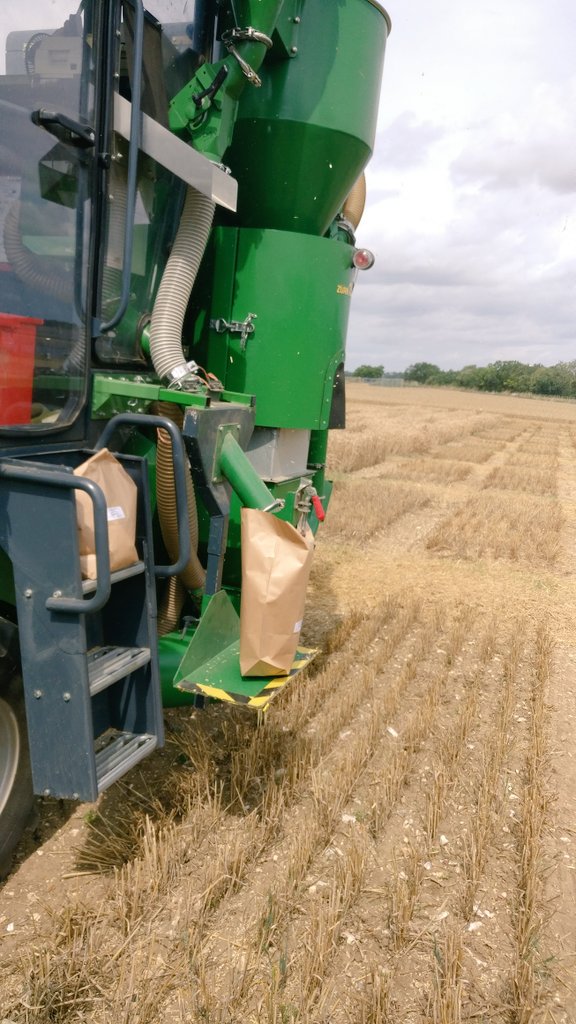 Exciting times!! 🌾towards the end of field trials <a href="/JohnInnesCentre/">John Innes Centre</a> and at the beginning of grain phenotyping <a href="/TheQuadram/">Quadram Institute</a> #starch