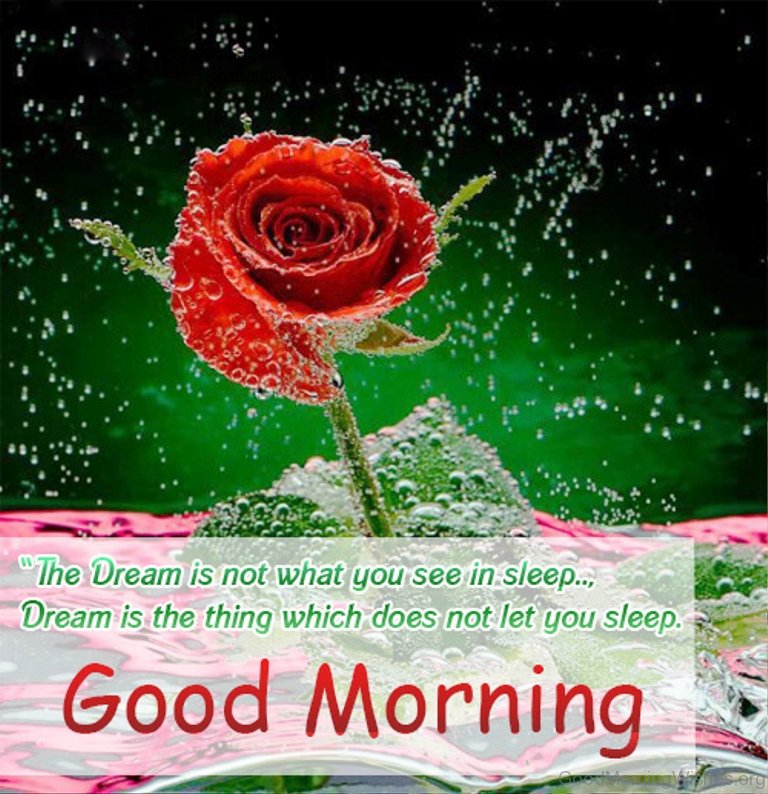 ojouviea's tweet photo. Good morning friends https://t.co/LIvQKMnmnM