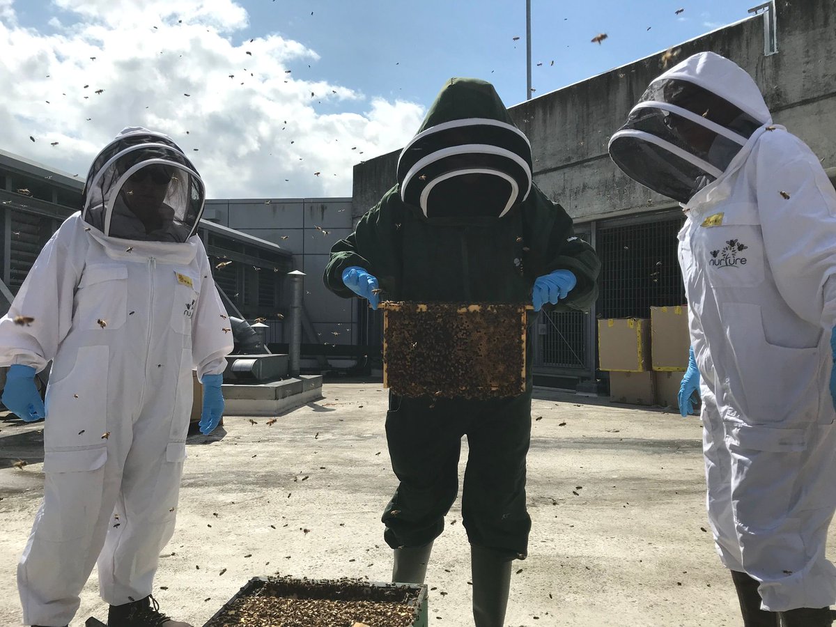 The Oracle tweet media