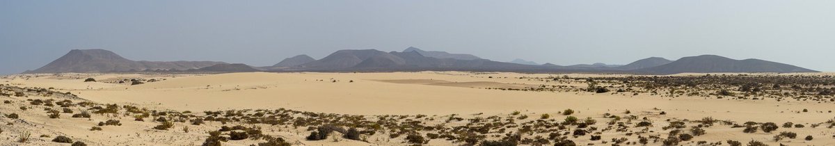 yukicoxo's tweet photo. Finally a new #YukiHeaderPic submitted by @jonokimber Thank you 😍
#Fuerteventura at its humpiest 😜 https://t.co/T1YpgCLmJ7