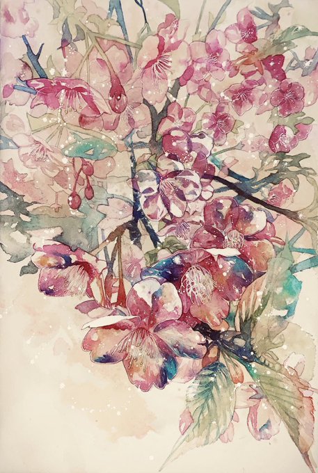 百日紅のtwitterイラスト検索結果 古い順