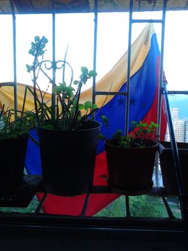 Ver imagen en Twitter