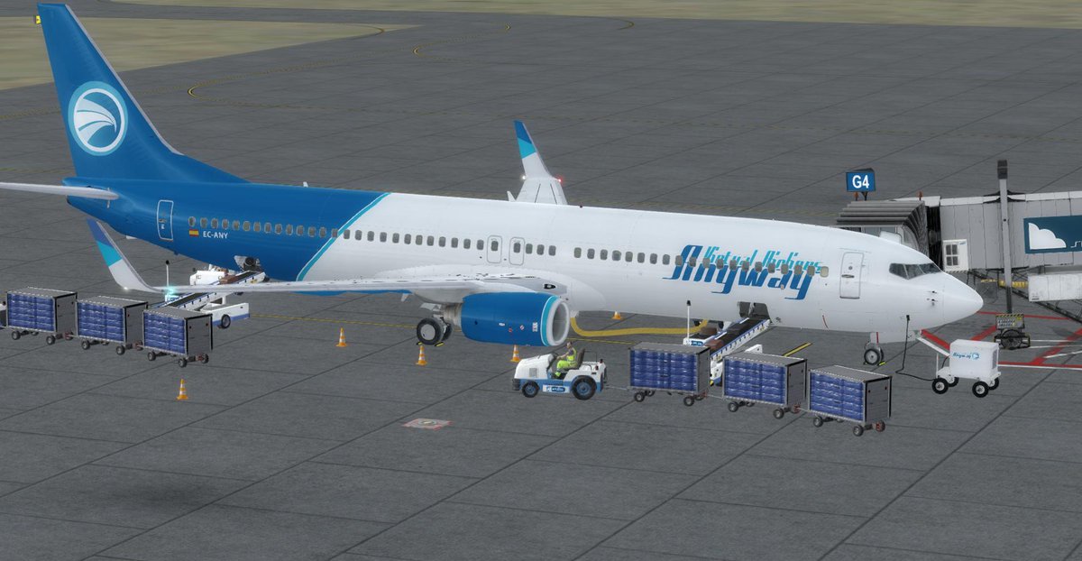 AnywayVA's tweet photo. Ayer Jon ANY109 realizó la última conexión entre Madrid #LEMD y Malabo #FGSL con un #B739 de #PMDG. Destino al que hemos realizado un total de 147 vuelos, siendo las aeronaves #B763 y #A320 las más utilizadas. https://t.co/zLs6PHAekd