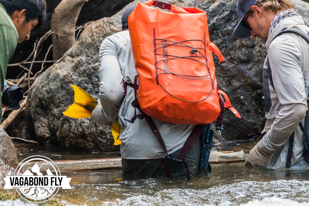 VagabondFly's tweet photo. This game of #Flyfishing takes you places, connects you with incredible people &amp; opens a world of unreal adventure. Let that percolate for a while... #purposefullylost
Angling Frontiers https://t.co/y08umADxa8