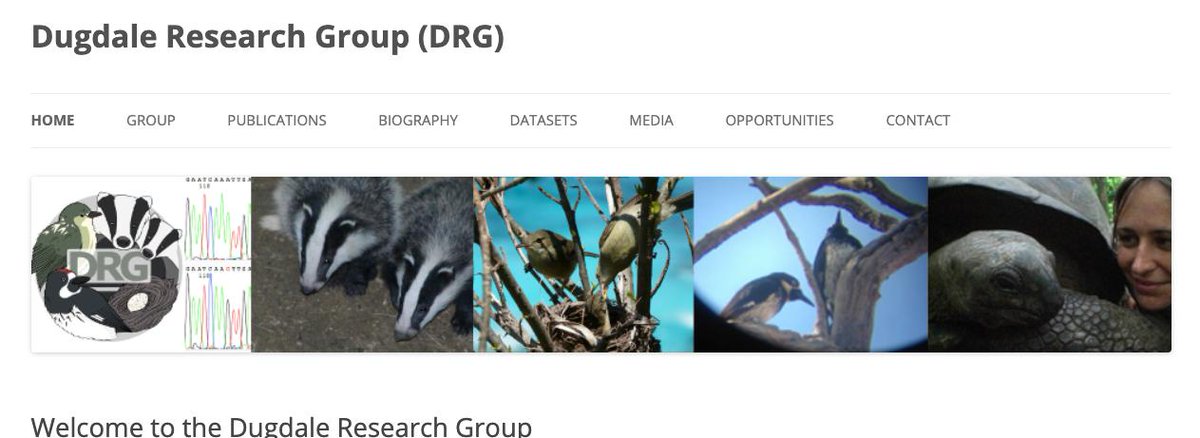 itchyshin's tweet photo. Day 67: Meet @hannahdugdale @UniversityLeeds &amp; our @ecoevorxiv committee member. Amazing research in #senesence, #animalpersonality (@SeychellesWarb) #MateChoice (#Badgers). Another champion of #WomenInSTEM with great outreach work. Read this on #telomere: https://t.co/bzgzhbiOfs https://t.co/WlwLxpY820
