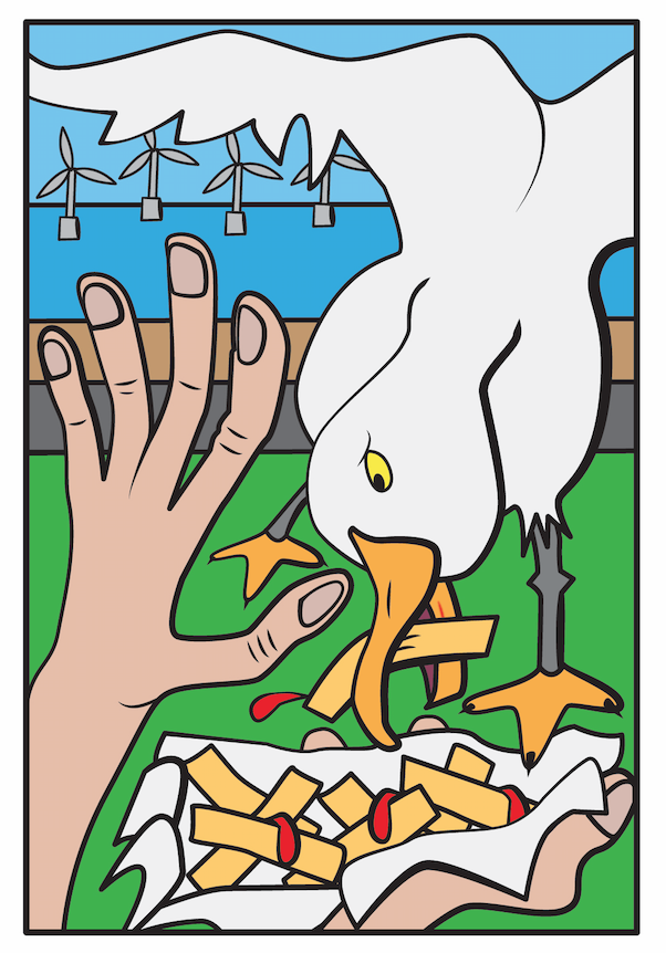 PopRobotic's tweet photo. . @Viola_RS @Gull_Mad @iansample More seagull antics from Hove for you to enjoy... was inspired to draw these just last week! https://t.co/bHhxupkPBx