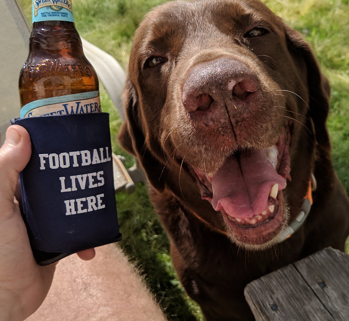 TalkiAndFotina's tweet photo. Is it GAME DAY yet Daddy? #ESPNShopDog #Talki 🏈 https://t.co/3AzxSzKNYF
