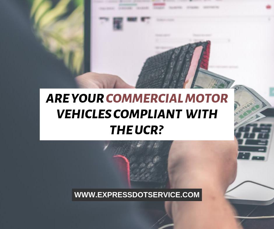 express_dot's tweet image. Are your commercial motor vehicles UCR registered? Know it at Express DOT Service!

Visit expressdotservice.com for more information.

#DOTCompliance #USDOT #UCRServices #US #FMCSA #Road #Fleet #Carriers #USA #UCR #UCRRenewal #UCRRegistration #DOT #Trucking #USDOTNumber #Trucks