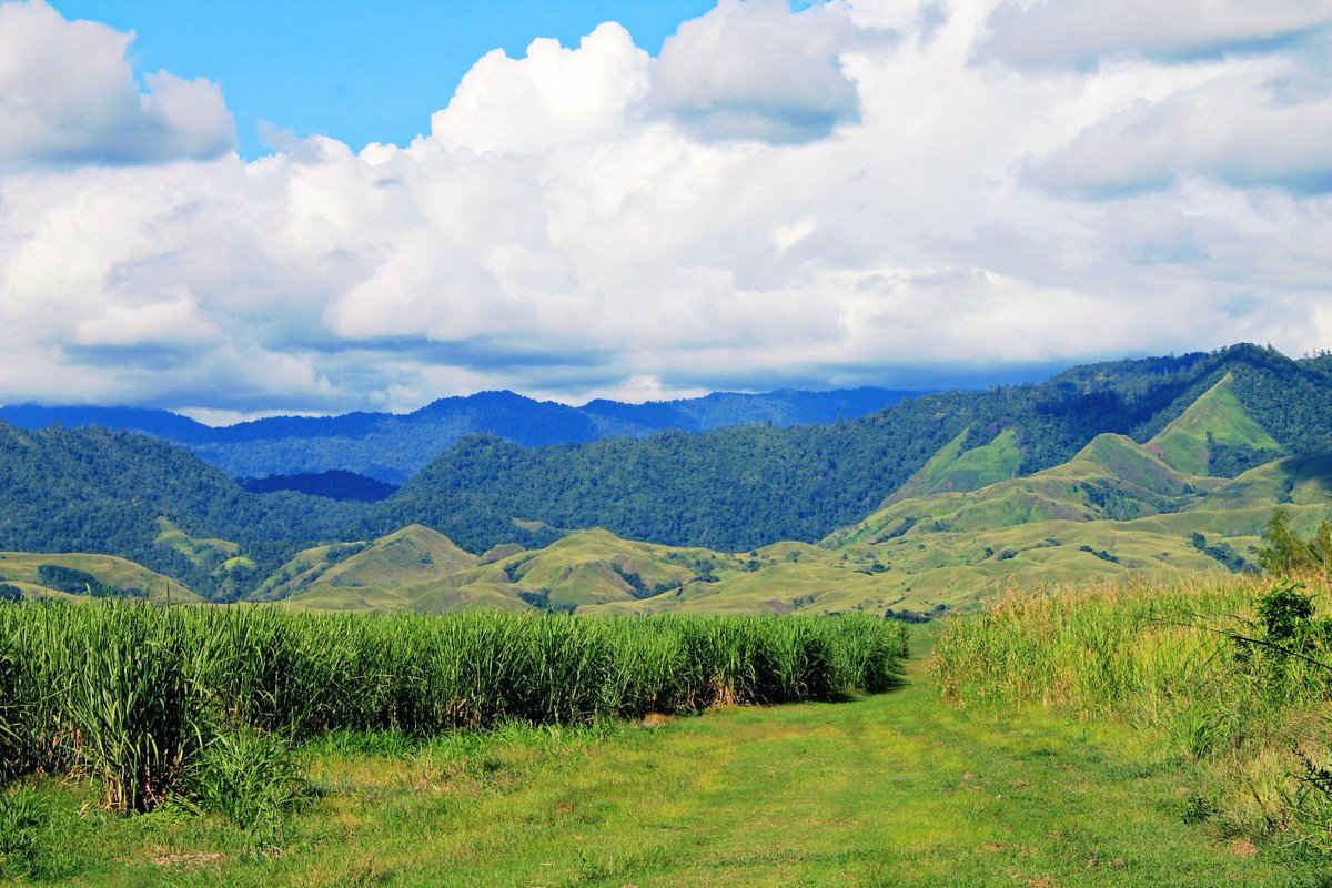 laif_thrumyeyes's tweet photo. Looking over the cane fields into the hills. Ramu, Madang Province, Papua New Guinea. ๐๐ต๐ฌ๐ฏ๐ธ #Ramusugar #ramu #gusap #madang #papuanewguinea #tarito #niugini #valley #roadtrip #photography #roadtripphotography #photo #picoftheday #photooftheday https://t.co/jWQxGUNLC3